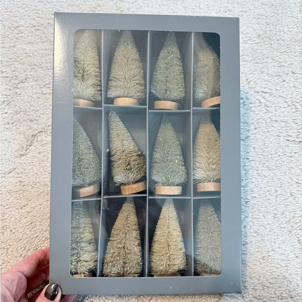 West Elm bottlebrush trees